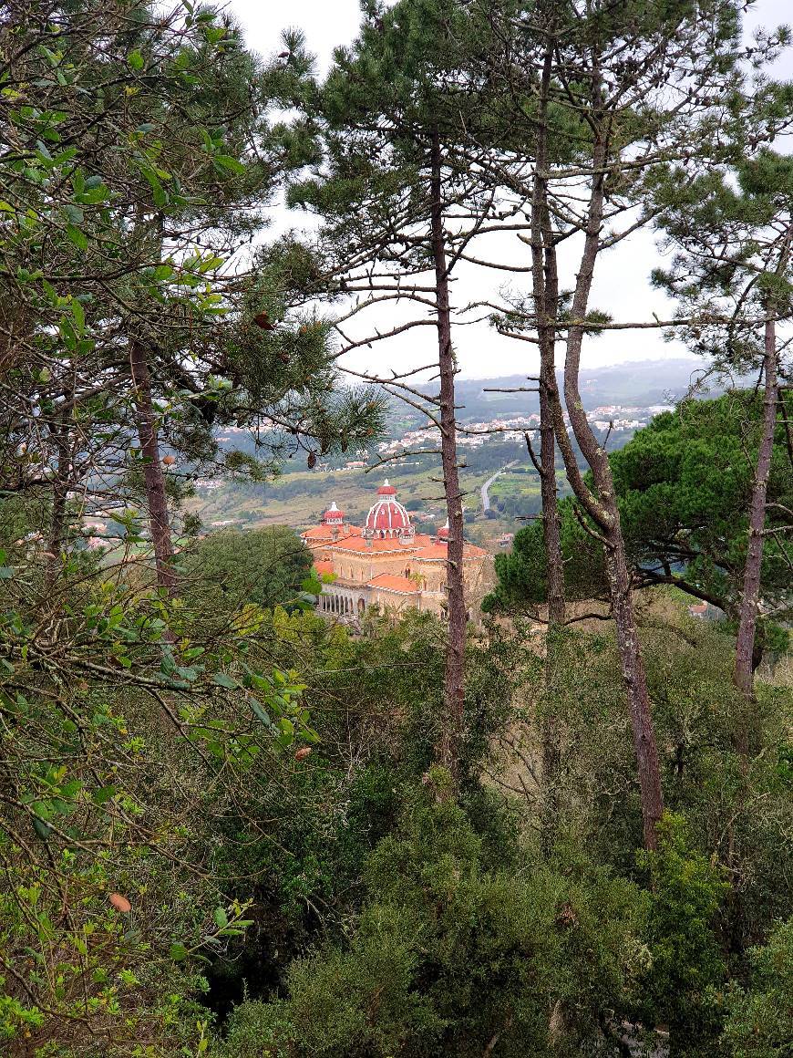 Place Sintra-Cascais Natural Park