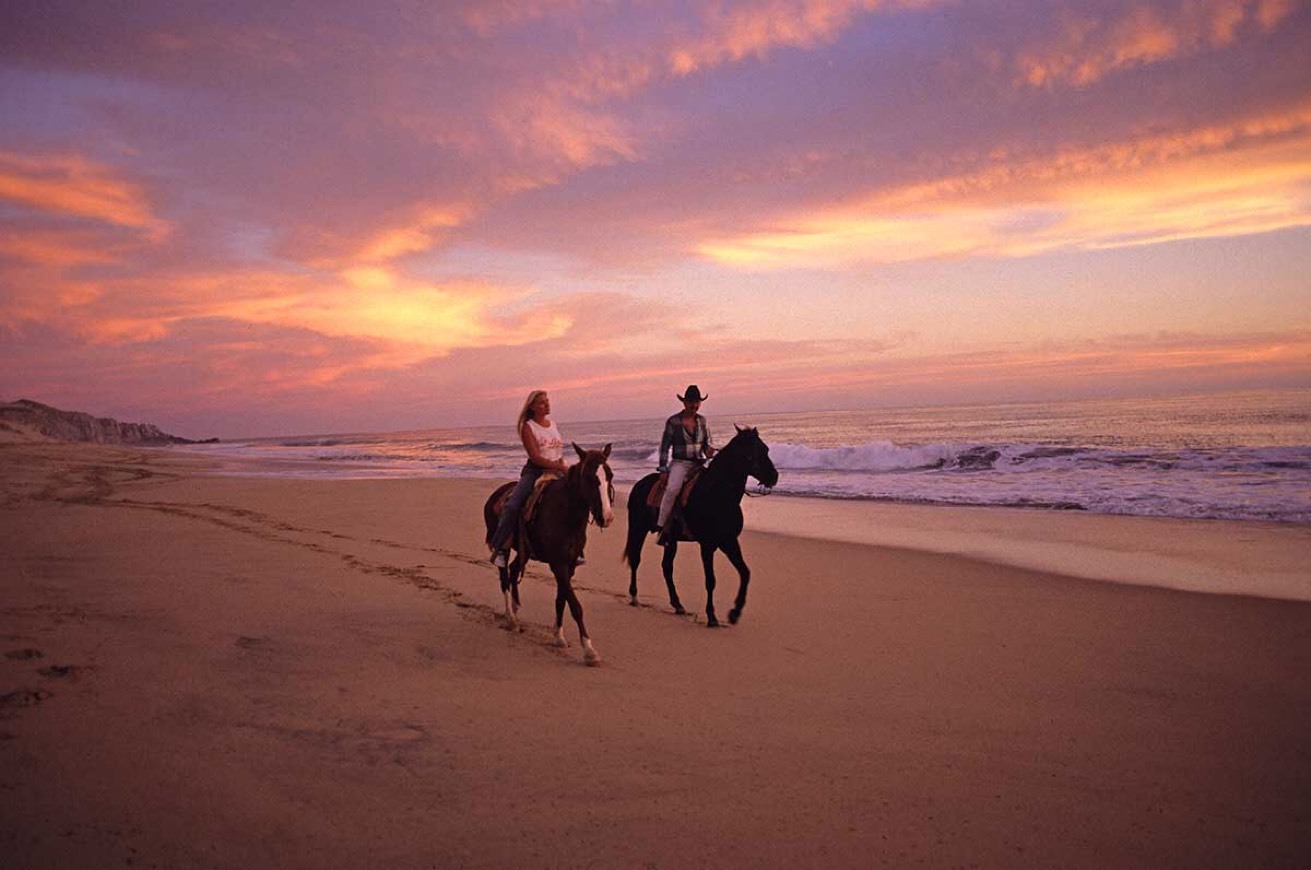 Moda Passeio a cavalo na praia 