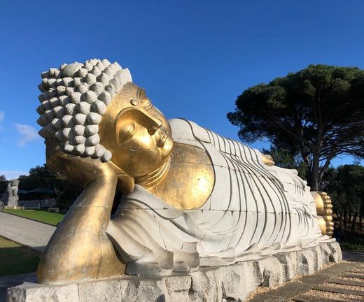 Buddha Eden