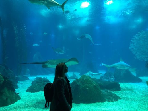 Oceanario de Lisboa