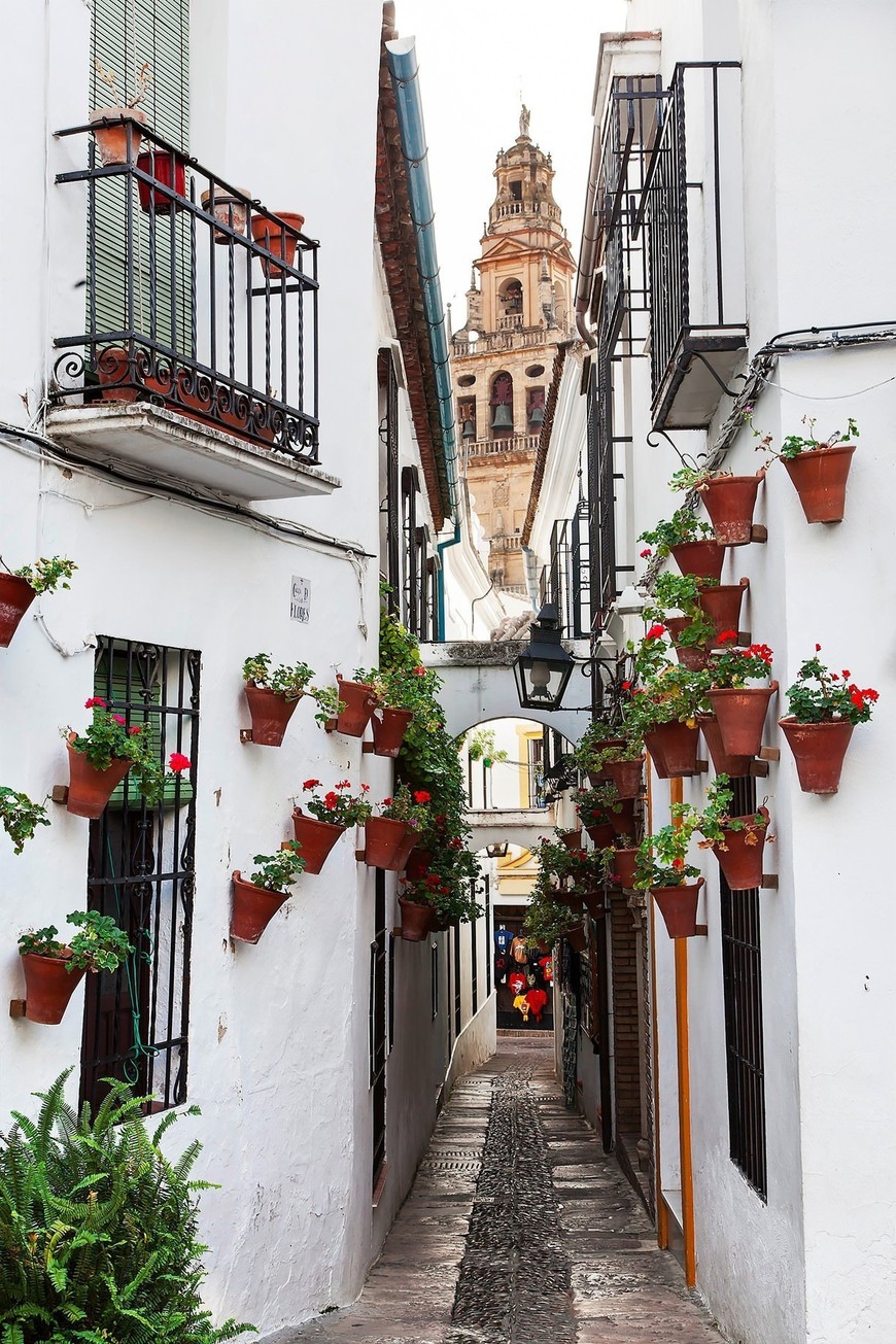 Lugar Calleja de las Flores