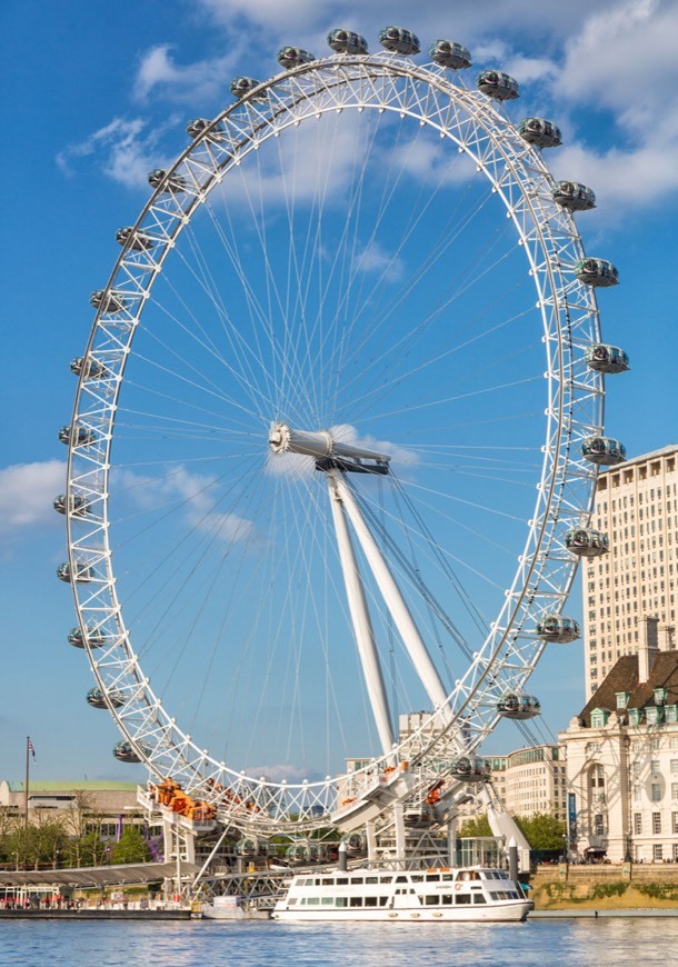 Place London Eye