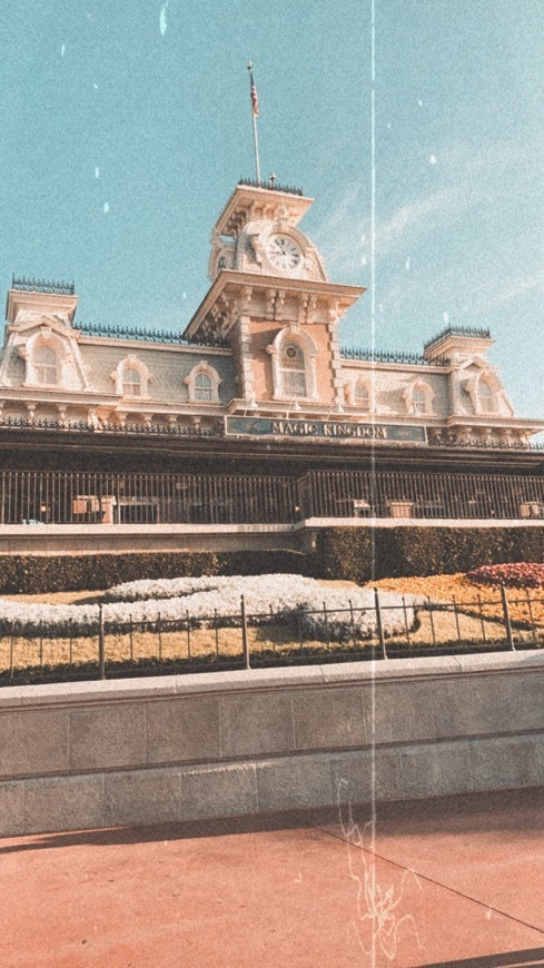 Place Walt Disney World