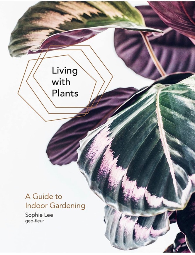 Moda Living with Plants: A Guide to Indoor Gardening: Sophie Lee ...