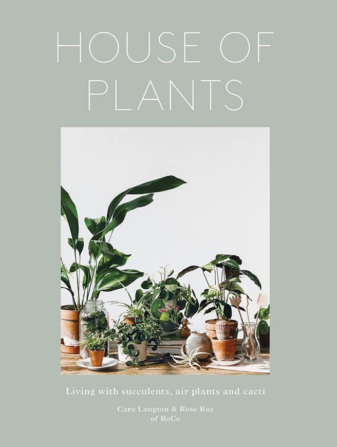 Fashion House of Plants