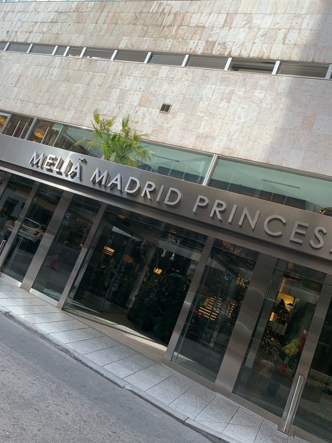 Place Meliá Madrid Princesa