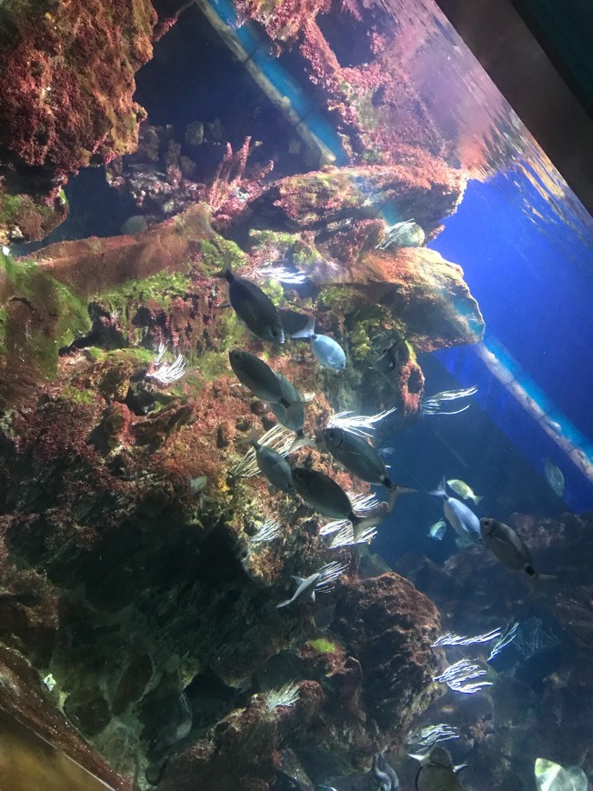 Lugar Aquarium de Barcelona