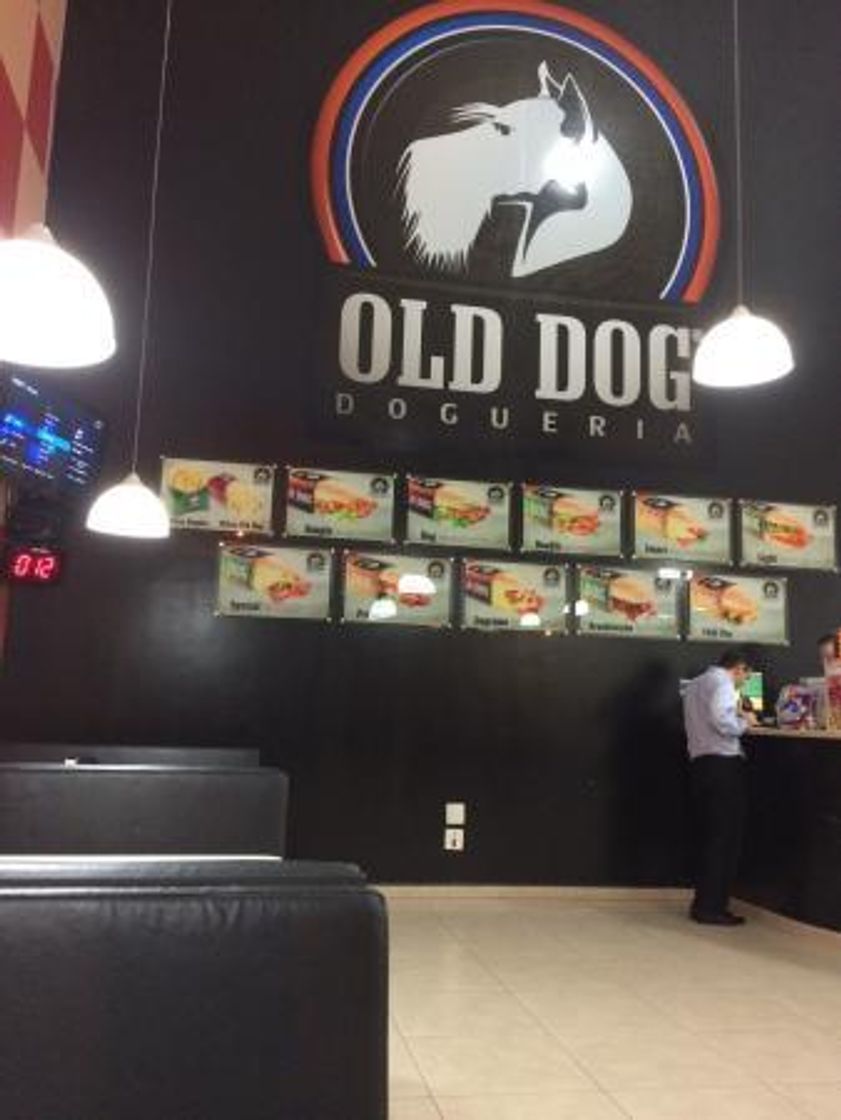 Restaurants Old Dog Dogueria