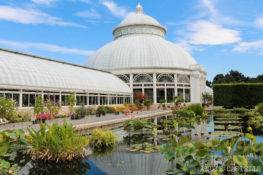 Lugar Botanical Garden of Valencia