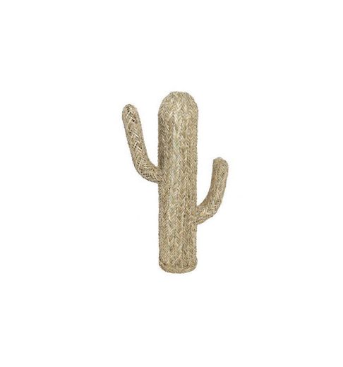 Cactus sucto