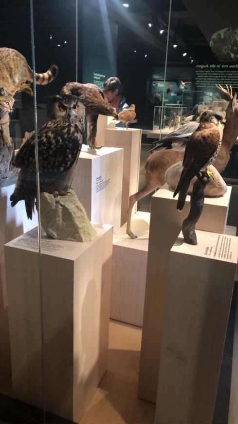 Lugar Naturhistorisches Museum Bern