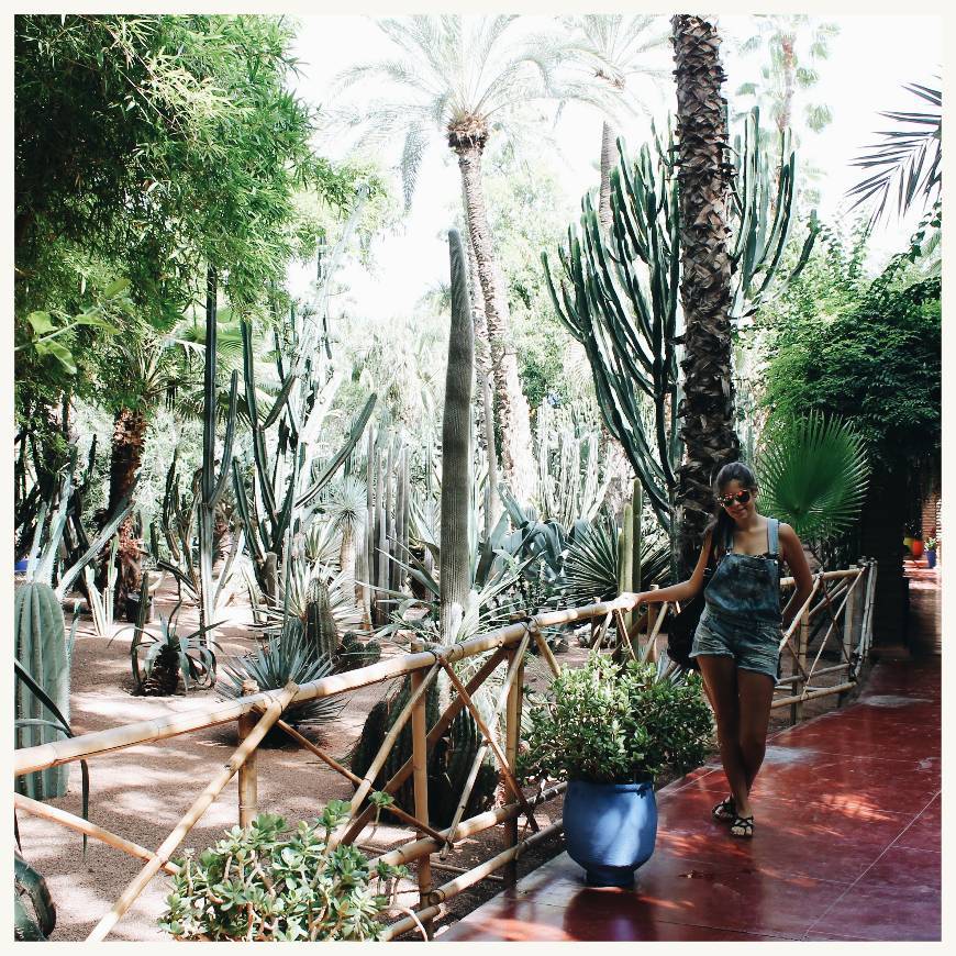 Jardín Majorelle