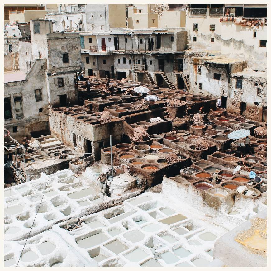 Chouara Tannery