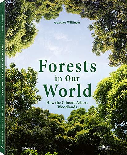 Libro Forests in our world. How the climate affects woodlands. Ediz. illustrata