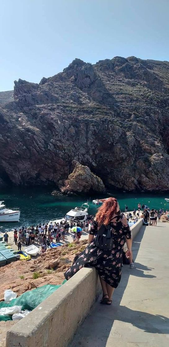 Place Berlengas Natural Reserve