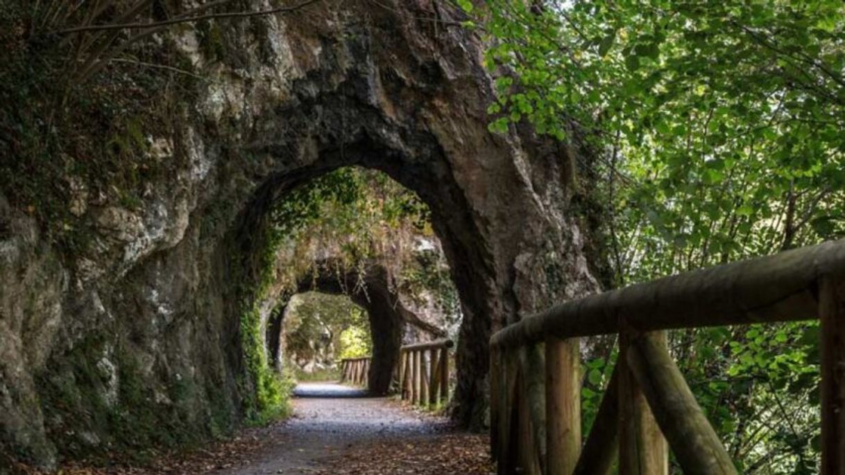 Lugares La Senda Del Oso