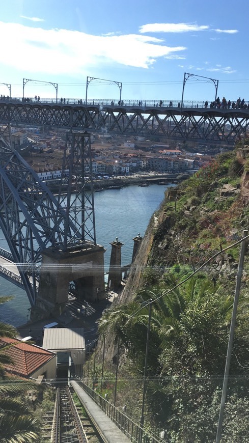 Restaurants Funicular dos Guindais