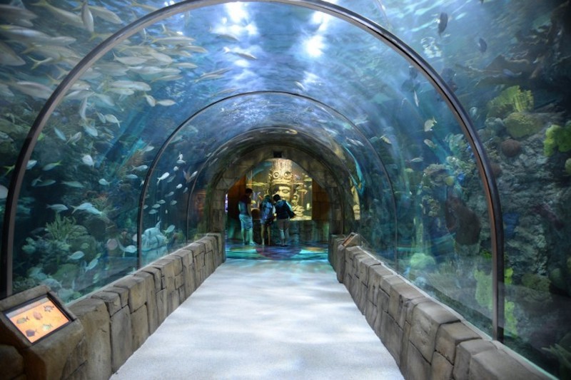 Place Aquarium of the Americas