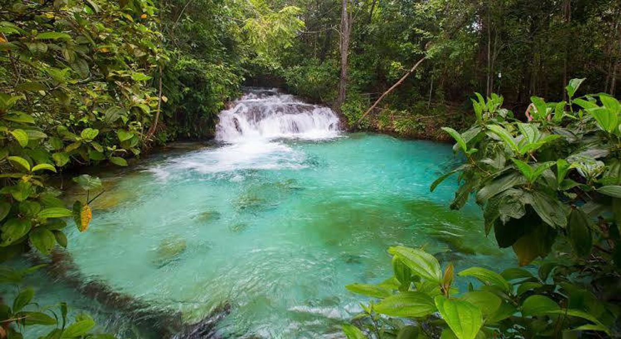 Lugar Parque Estadual do Jalapão