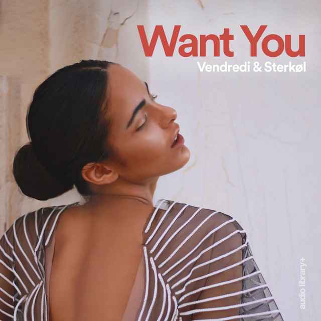 Canción Want You