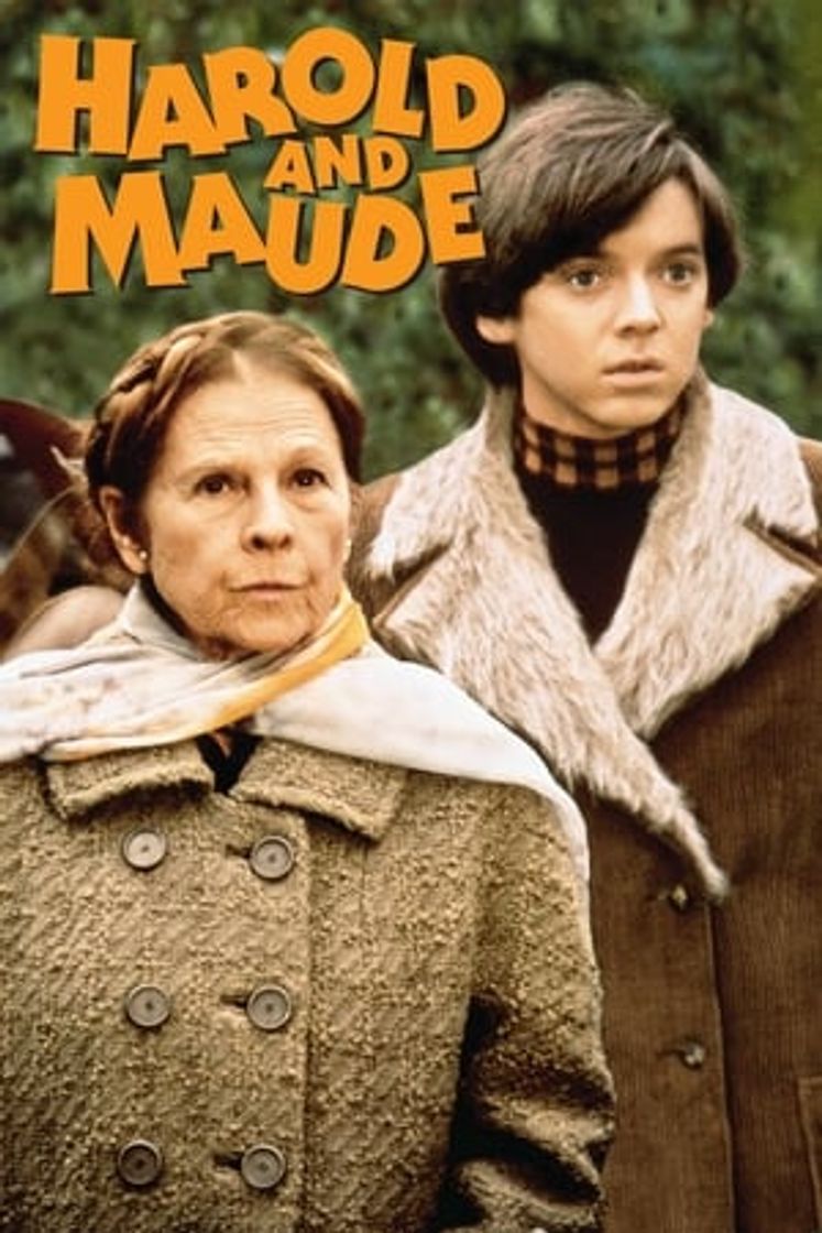 Película Harold y Maude