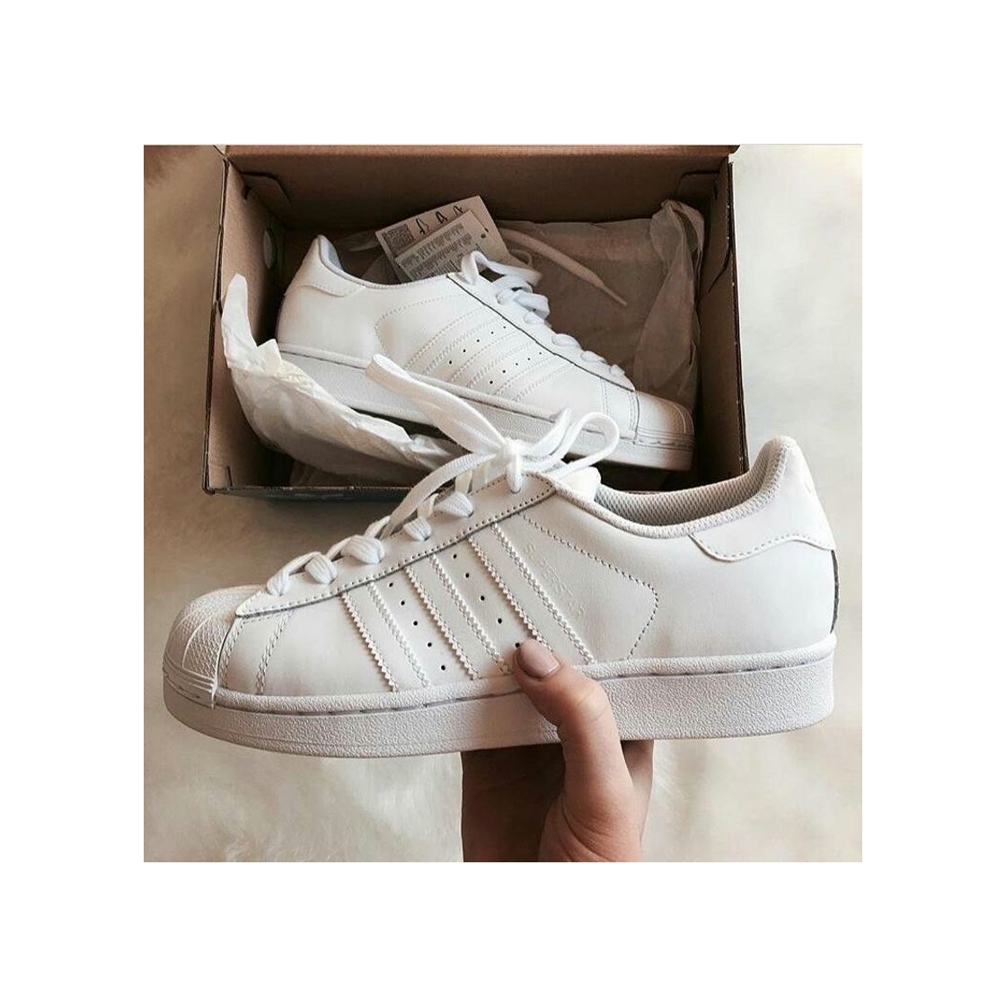 Producto Adidas Superstar 