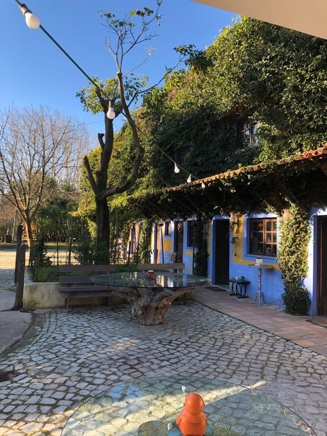 Lugar Quinta da Mafalda