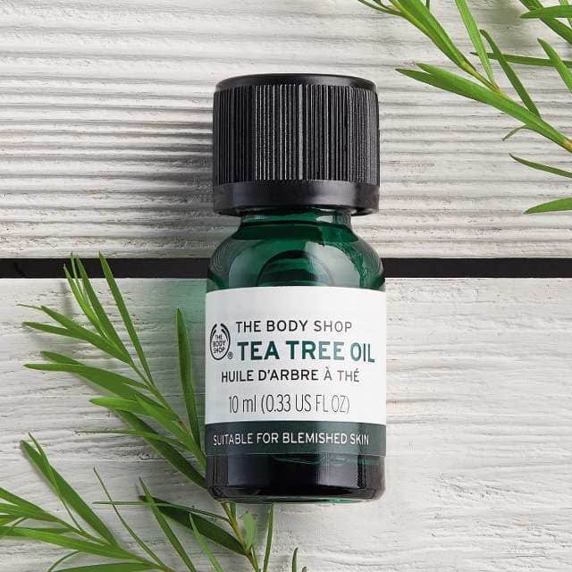 Productos Óleo De Tea Tree 10ml