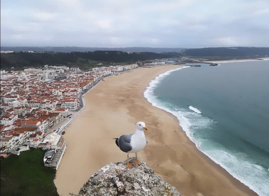 Place Sitio de Nazaré