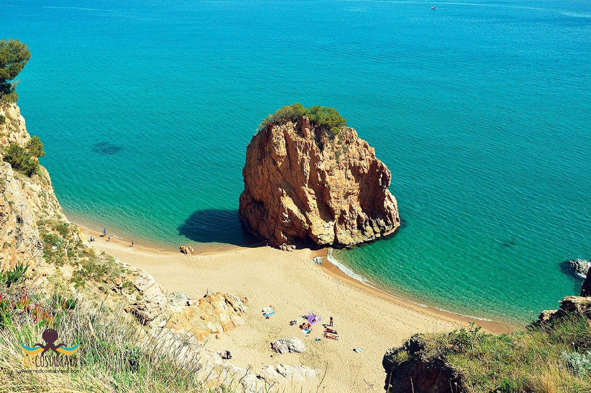 Lugar Playa Illa Roja