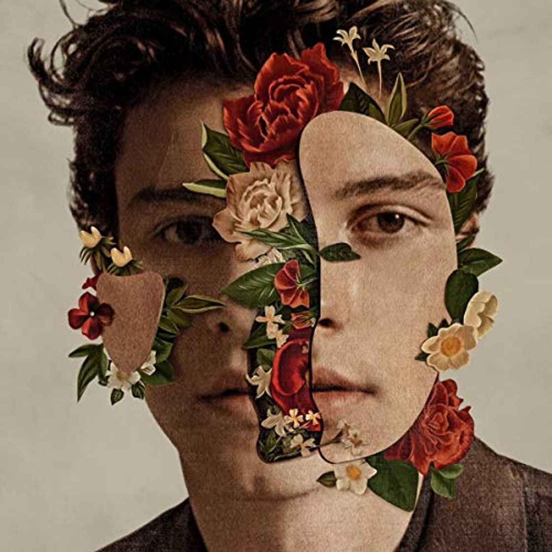 Place Shawn Mendes [Vinilo]