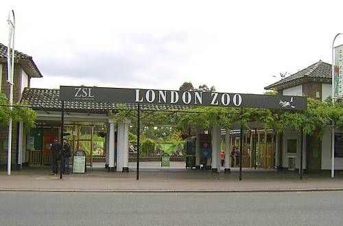 Place London Zoo