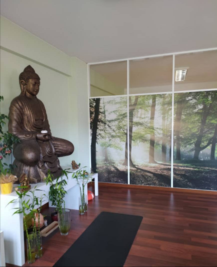 Lugar Instituto Português da Consciência - Jyoti Yoga Center