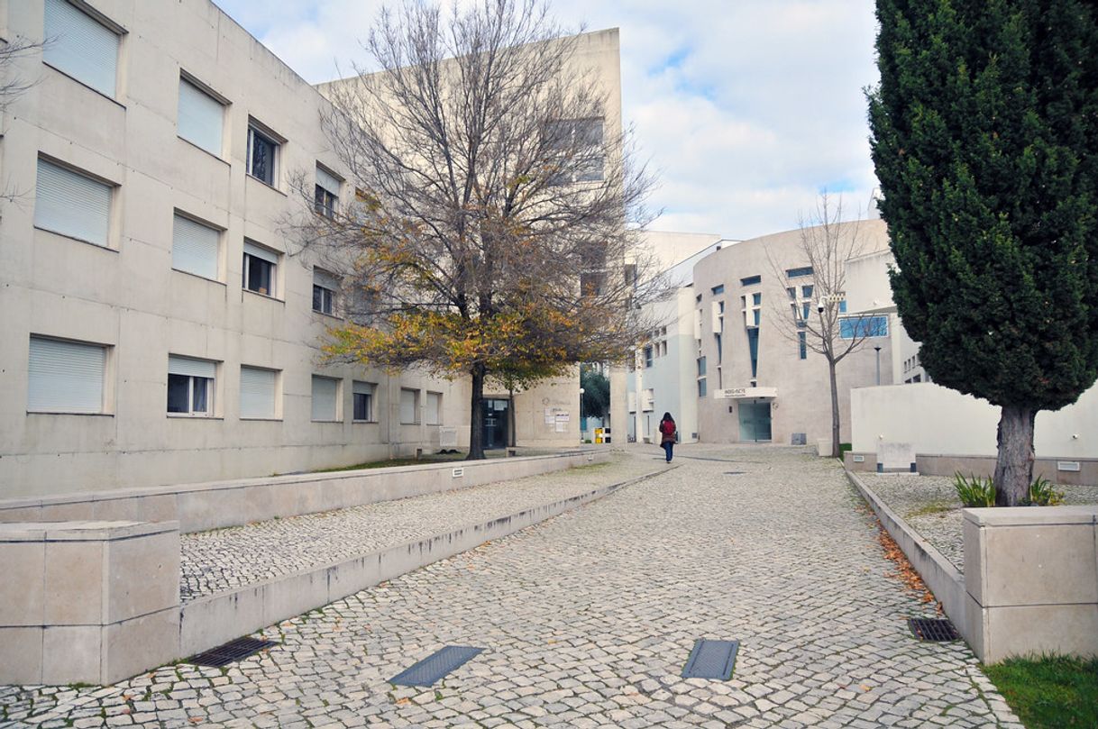 Lugar ISCTE - Instituto Universitario de Lisboa