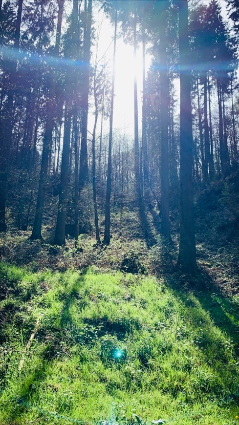 Müllerthal
