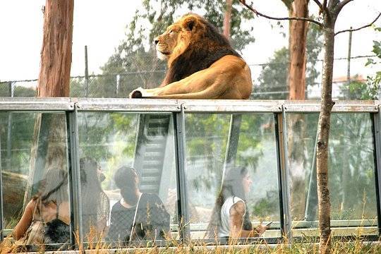 ZOO Santo Inácio