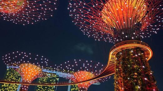 Gardens by the Bay