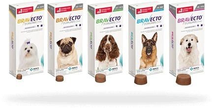 Bravecto