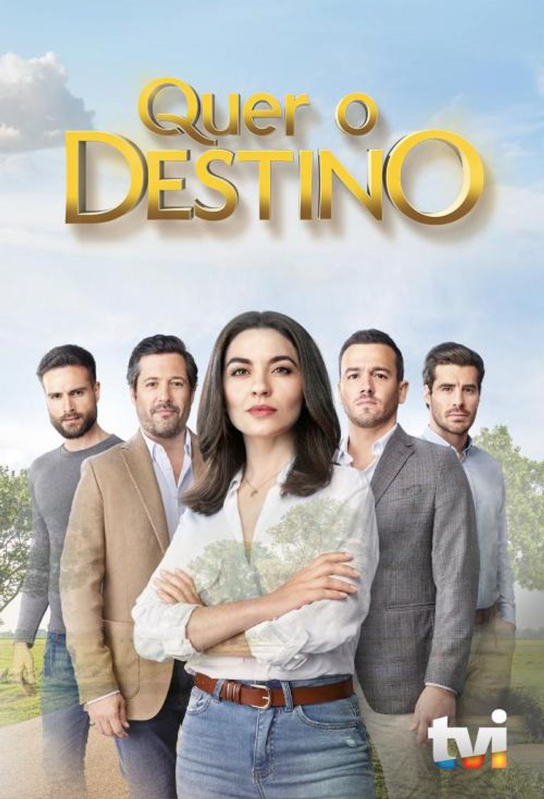 Social Quer o Destino