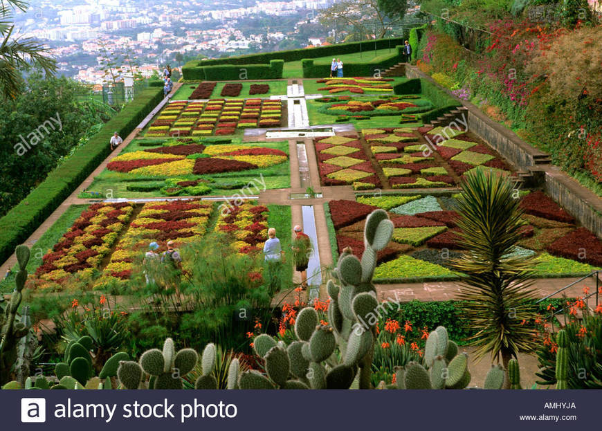 Lugares Jardim Botânico 