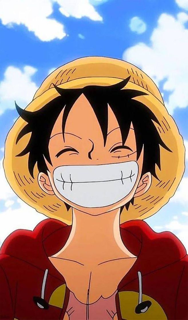 Fashion Luffy