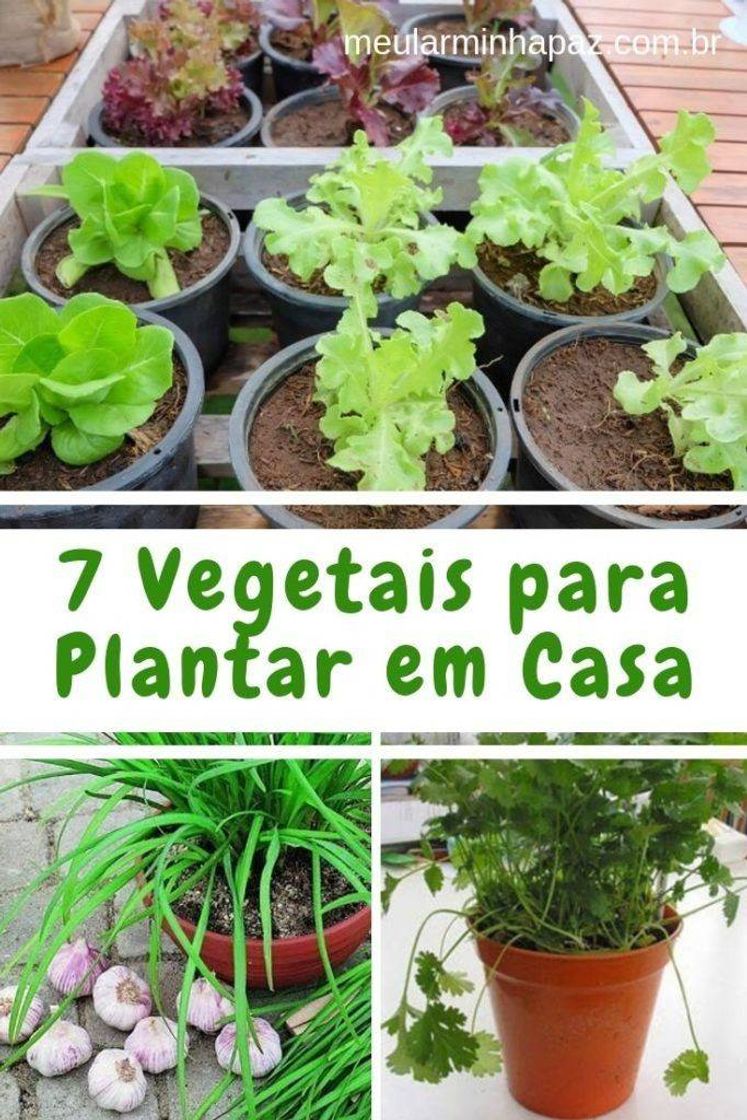 Moda Vegetais em casa