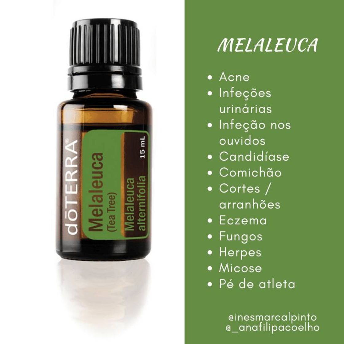 Social Óleos Essenciais doTERRA