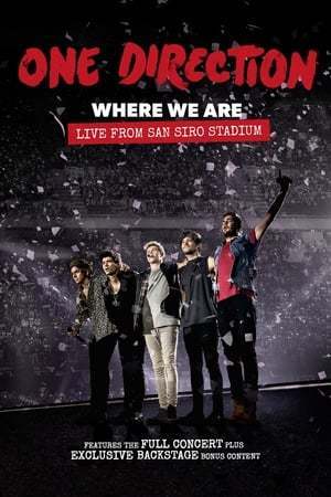 Movie One Direction: Where We Are – La película del concierto