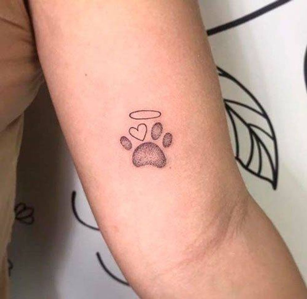 Moda Tatuagem de homenagem para cachorro