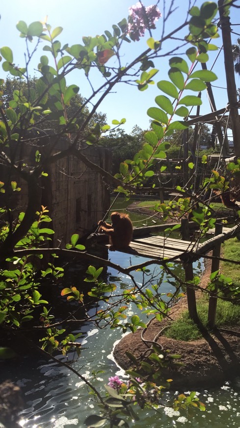 Place Jardim Zoológico de Lisboa