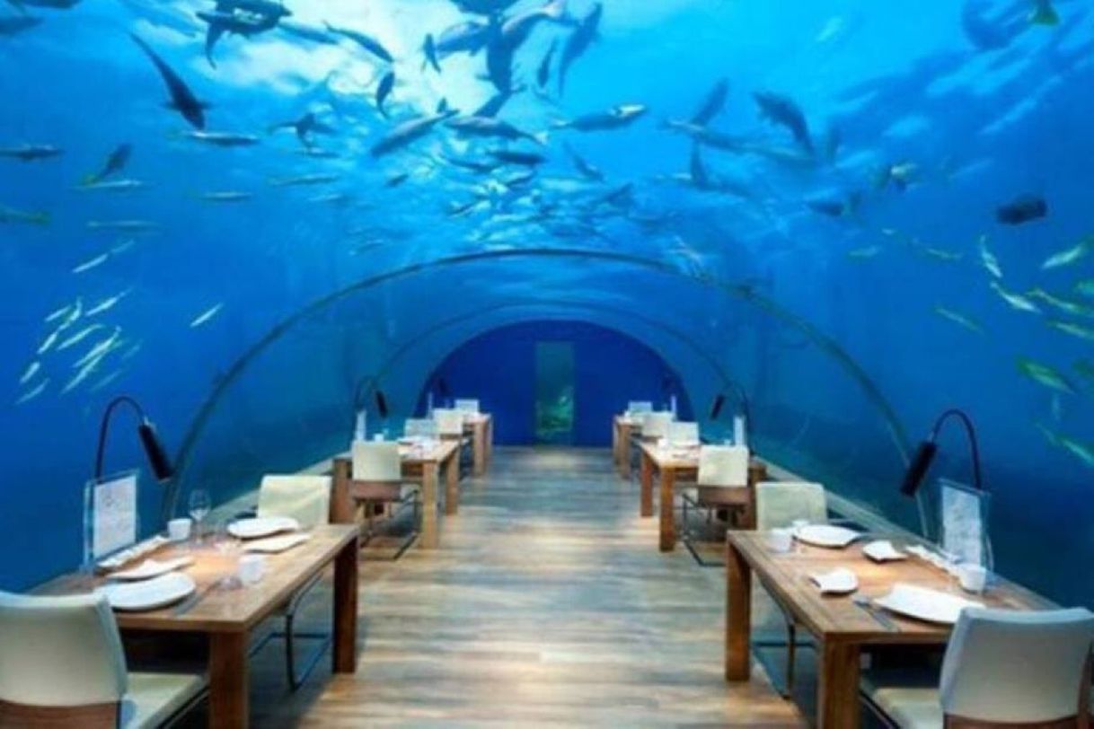 Restaurantes Ithaa Undersea Restaurant