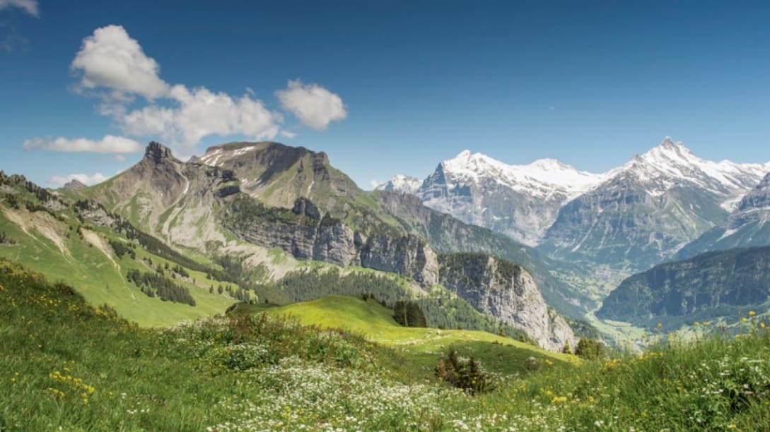 Places Schynige Platte