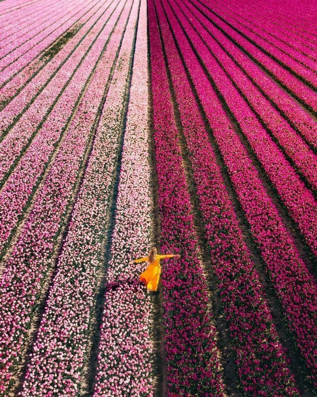 Lugar Keukenhof