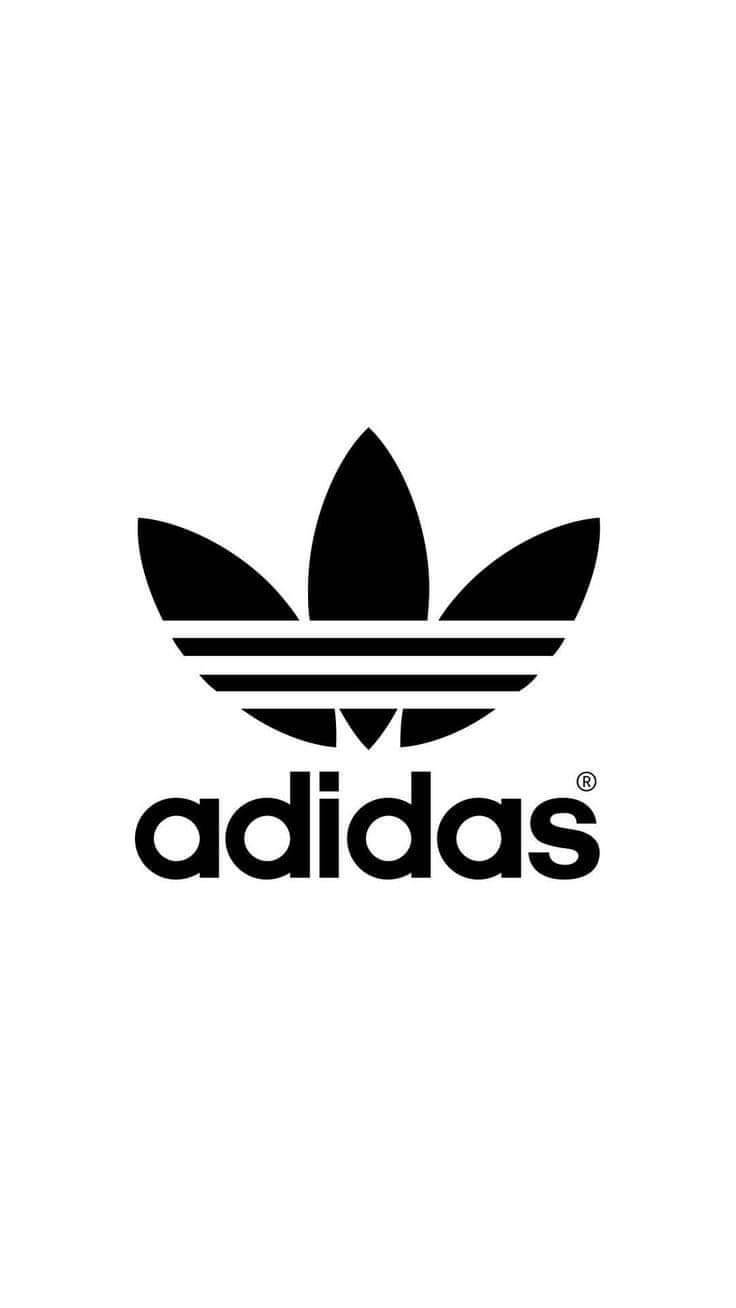 Fashion Adidas